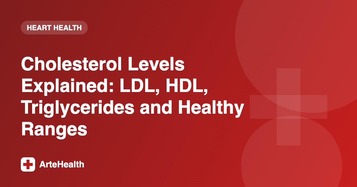 Cholesterol Levels Explained: LDL, HDL, Triglycerides and Healthy Ranges